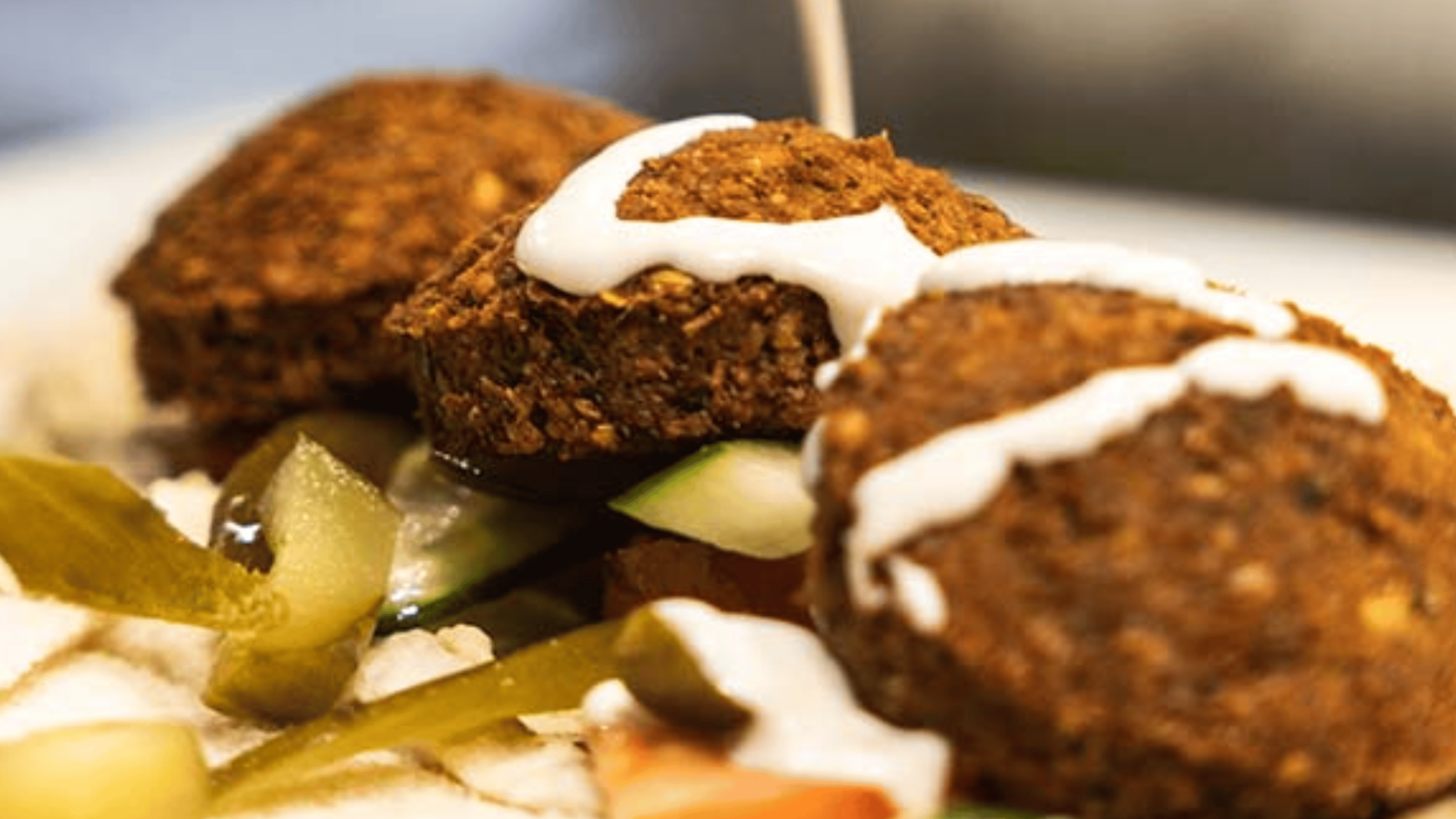 Falafel Fresh Belfast